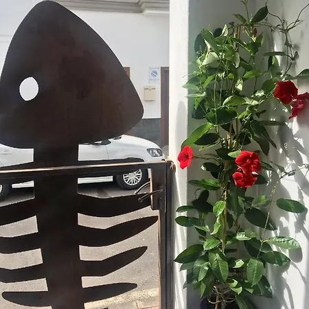 Casa Pescado Vistas Al Mar 아파트 아리시페